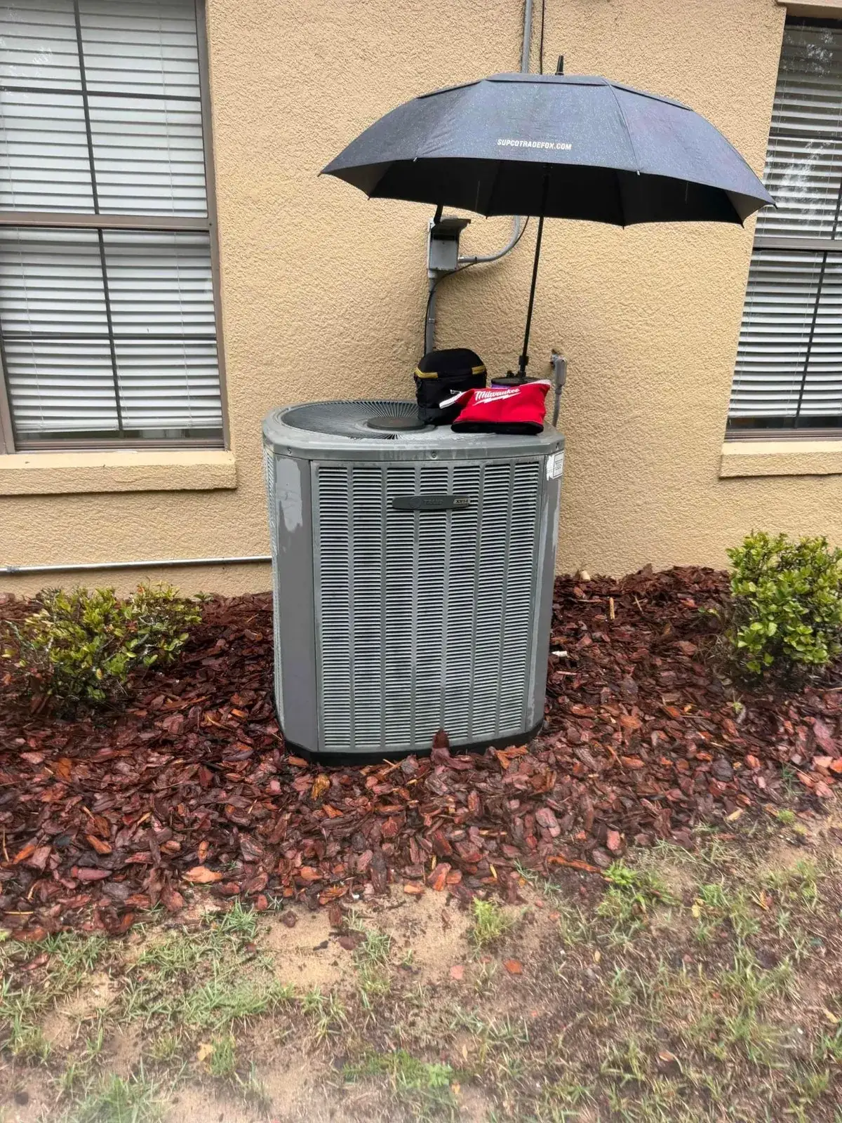 Trane condenser being serviced during a Florida rain shower, with a technician umbrella rigged over the disconnect and soaked mulch around the pad.
